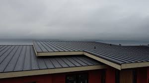 Best Rubber Roofing (EPDM, TPO)  in Broxton, GA